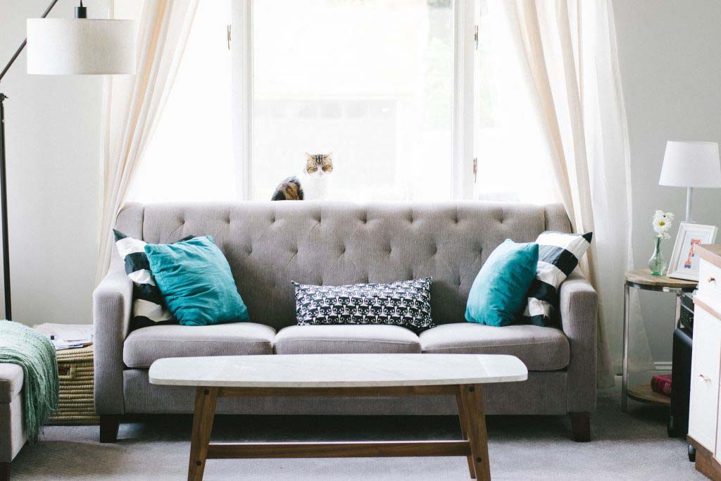 CHANGE UP YOUR DECOR WITH THROW PILLOWS